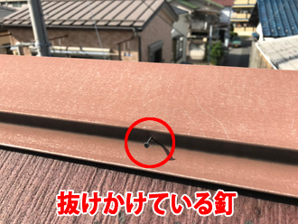 棟板金から抜けかけている釘