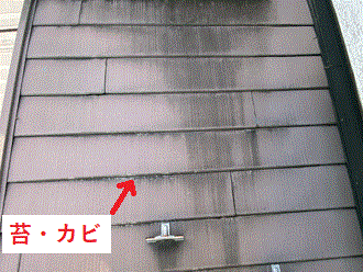 平塚市松風町にて屋根調査　金属屋根の塗膜が剥がれメンテナンスの時期を迎えています