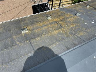 スレート屋根材に苔が発生