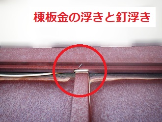 棟板金釘浮き