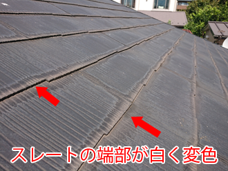 横浜市金沢区西柴にて端部が白く変色したスレート屋根を調査。屋根カバー工事をご提案
