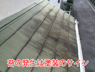 横浜市神奈川区神大寺で古くなってきたという屋根を調査。スレートの黒ずみや苔は塗装のサインです