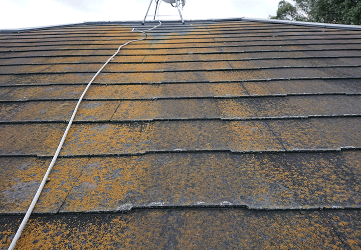 黄色い苔が生えてしまっている屋根