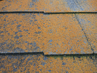 黄色い苔に覆われてしまっているコロニアルネオが使用された屋根