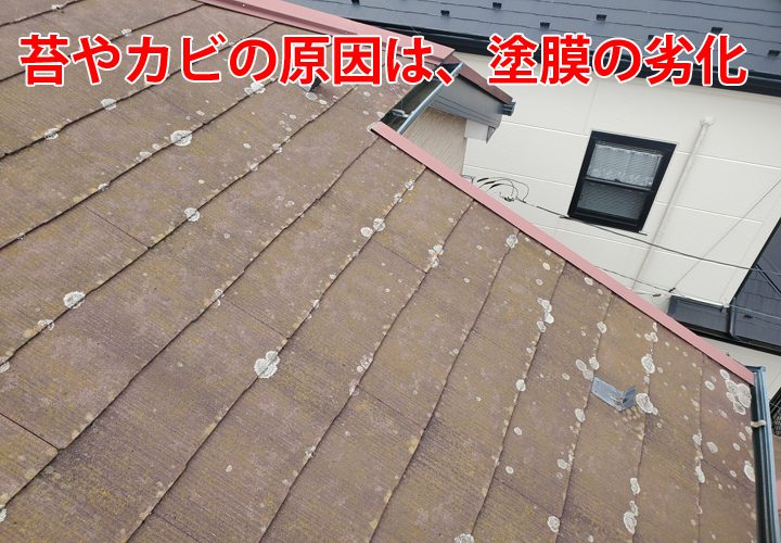 横須賀市富士見町にてスレート屋根の白カビ、オレンジ色の苔と訪問業者に指摘を受けた棟板金の浮きを現地調査