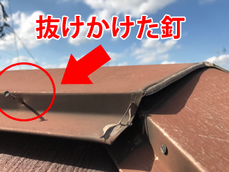 抜けかけている棟板金の釘