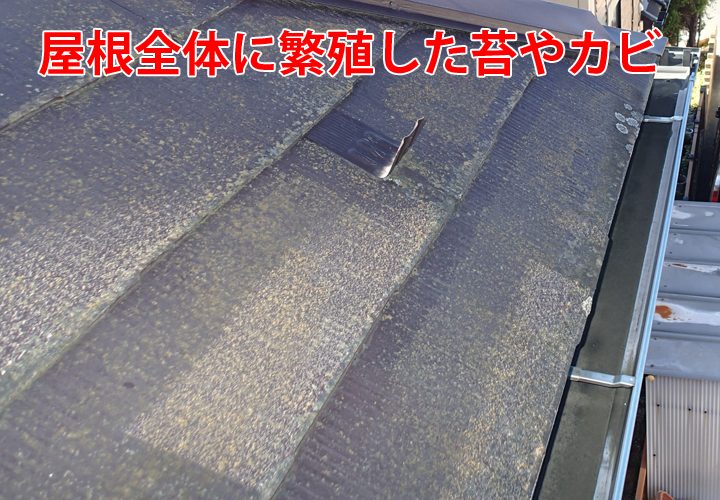 横浜市西区西戸部町で亀裂が入ったスレート屋根の補修施工！軽度な亀裂であれば塗装メンテナンスで補修可能です！