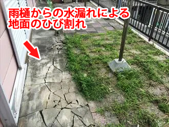 藤沢市遠藤のアパートで雨樋の調査！雨樋から漏れ続けた雨水がお庭にもたらす影響とは！？被害拡大を防ぐために雨樋工事をしましょう！