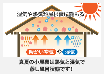 真夏の小屋裏は熱気と湿気で蒸し風呂状態です！