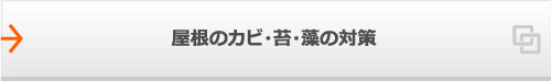 屋根のカビ・苔・藻の対策