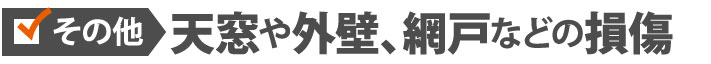 その他:天窓や外壁、網戸などの損傷