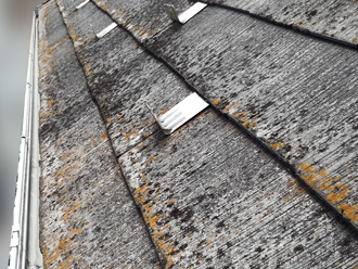 鎌倉市梶原にて塗装劣化により苔やカビが発生した屋根を調査　屋根カバー工法のご提案