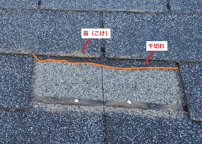 秦野市堀西にて屋根調査　シングル材の千切れや飛散が発生していました