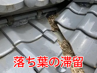 谷板金の落ち葉の滞留