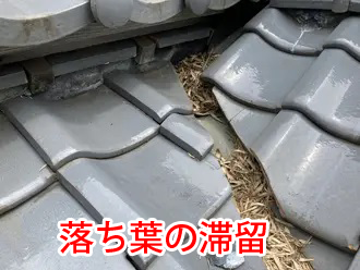 落ち葉の滞留