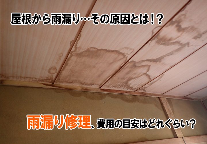 屋根からの雨漏り原因と、雨漏り修理の費用の目安についてご紹介！