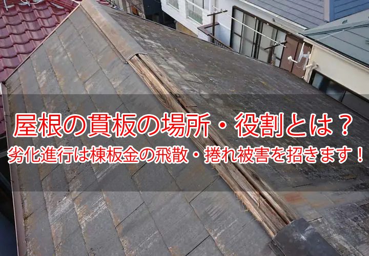 屋根の貫板の場所・役割とは？劣化進行は棟板金の飛散・捲れ被害を招きます！