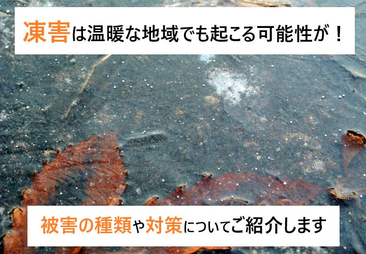 寒い冬、屋根や外壁の凍害は温暖な地域でも起こり得ます！凍害による被害の種類や対策についてご紹介！