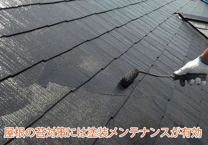 屋根の苔対策には塗装メンテナンスが有効