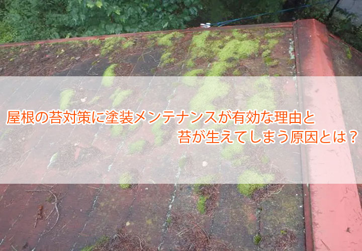 屋根の苔対策に塗装メンテナンスが有効な理由と苔が生えてしまう原因とは？