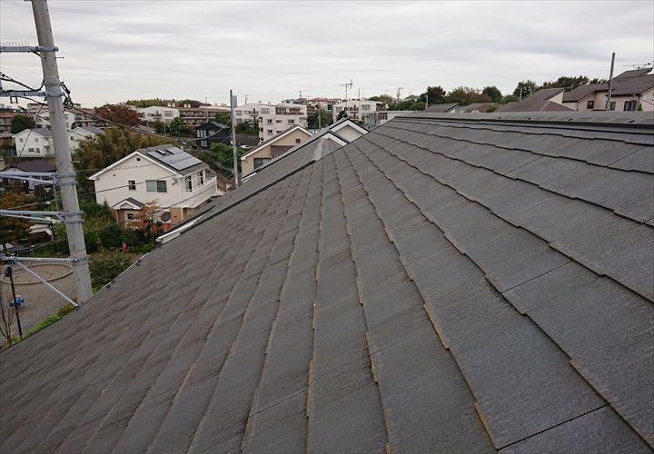 屋根全体