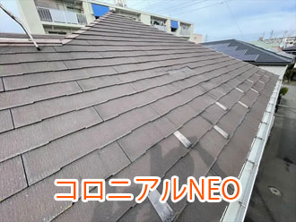 コロニアルNEO