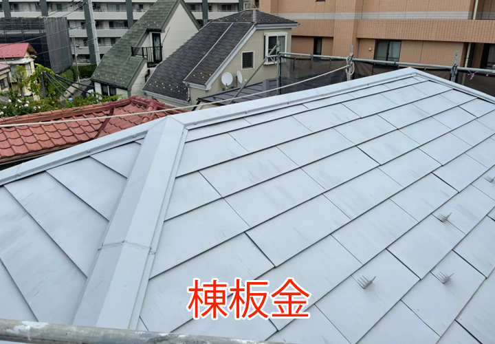 棟板金