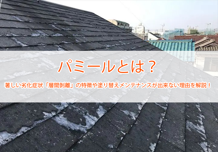 パミールとは？