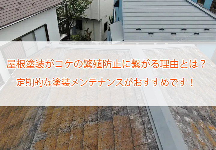 屋根塗装がコケの繁殖防止に繋がる理由