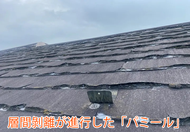 層間剝離が進行した「パミール」