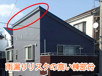 雨漏りリスクの高い棟部分