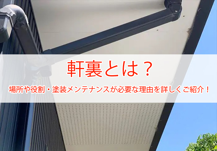 軒裏とは？