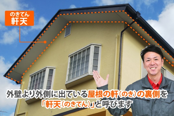 外壁より外側に出ている屋根の軒の裏側を「軒天」と呼びます
