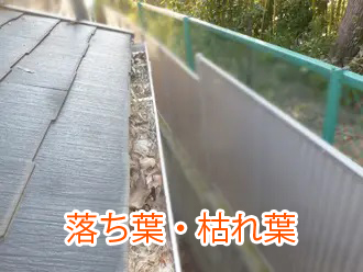 落ち葉・枯れ葉による雨樋の詰まり