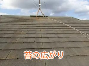 苔が広がっているスレート屋根