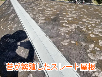 苔が繁殖したスレート屋根