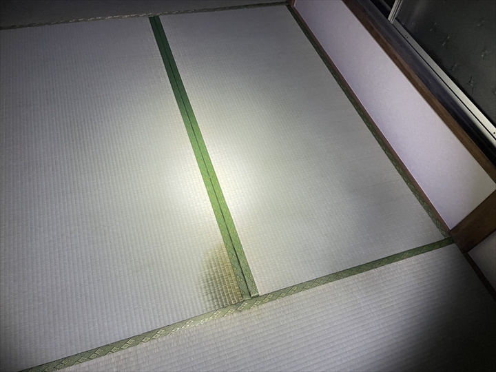 雨染み