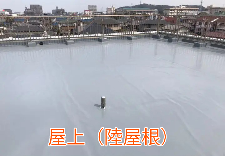 屋上（陸屋根）
