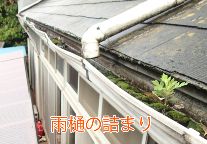 雨樋の詰まり