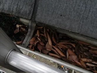軒樋に滞留した落ち葉