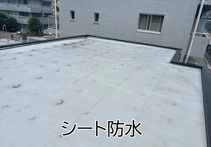 シート防水