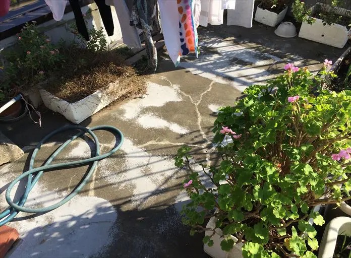 劣化が進行したトップコート・防水層