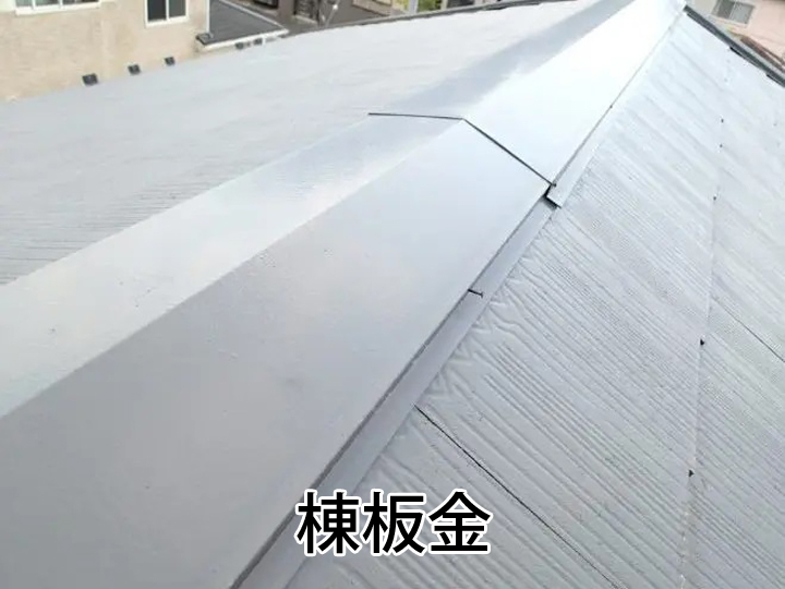 棟板金