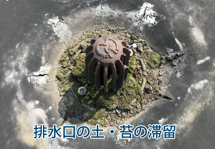 排水口の土・苔の滞留