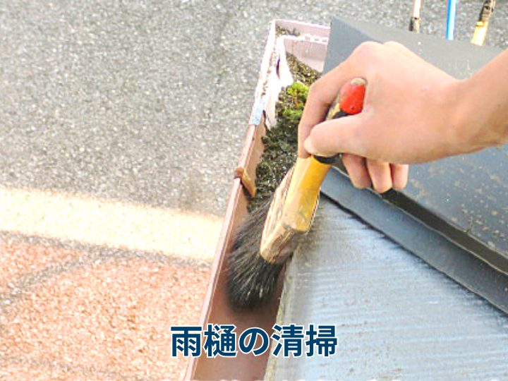 雨樋の清掃