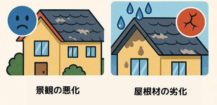 景観の悪化と屋根材の劣化