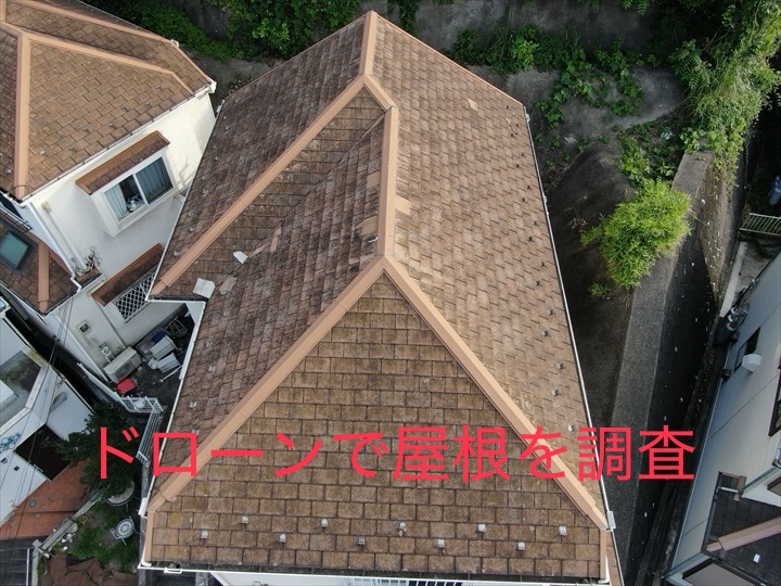 ドローン調査
