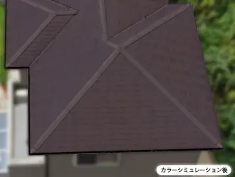 カラーシミュレーション後