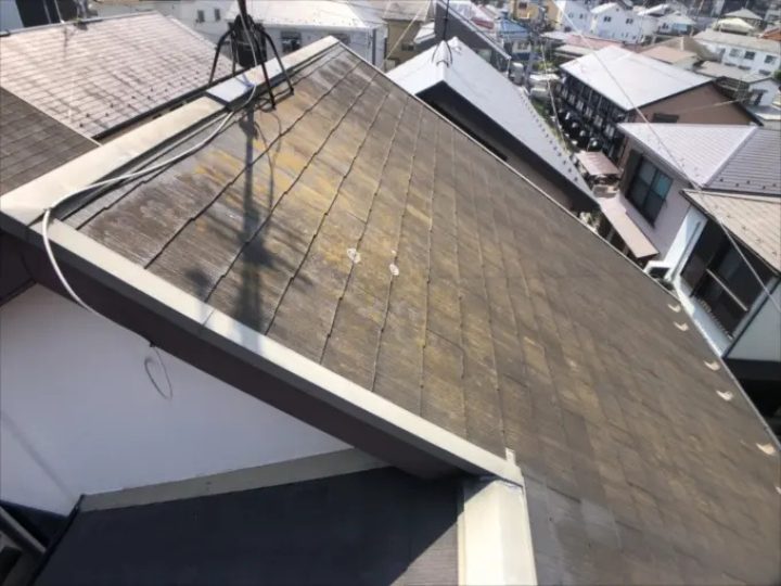 コケが広がっている屋根