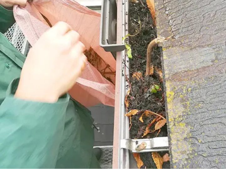 雨樋を清掃する様子